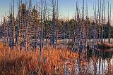 Marsh At Sunrise_10778-9